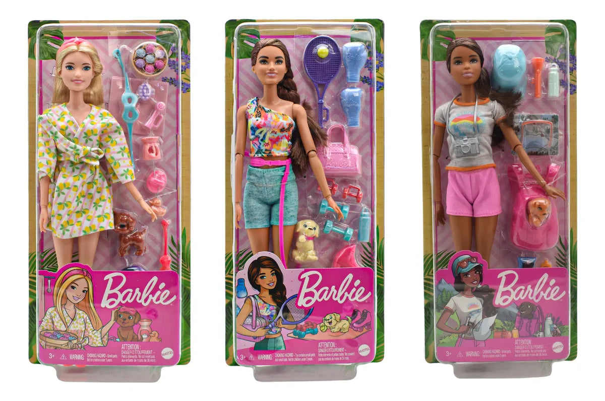Barbie Wellness Pack 3 Muñecas 29 Cm Mattel