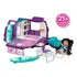Pinypon Set Terrific Van Violeta