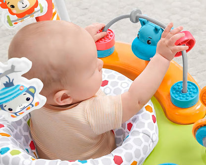 Fisher-price Diversión En El Gimnasio Color Multicolor