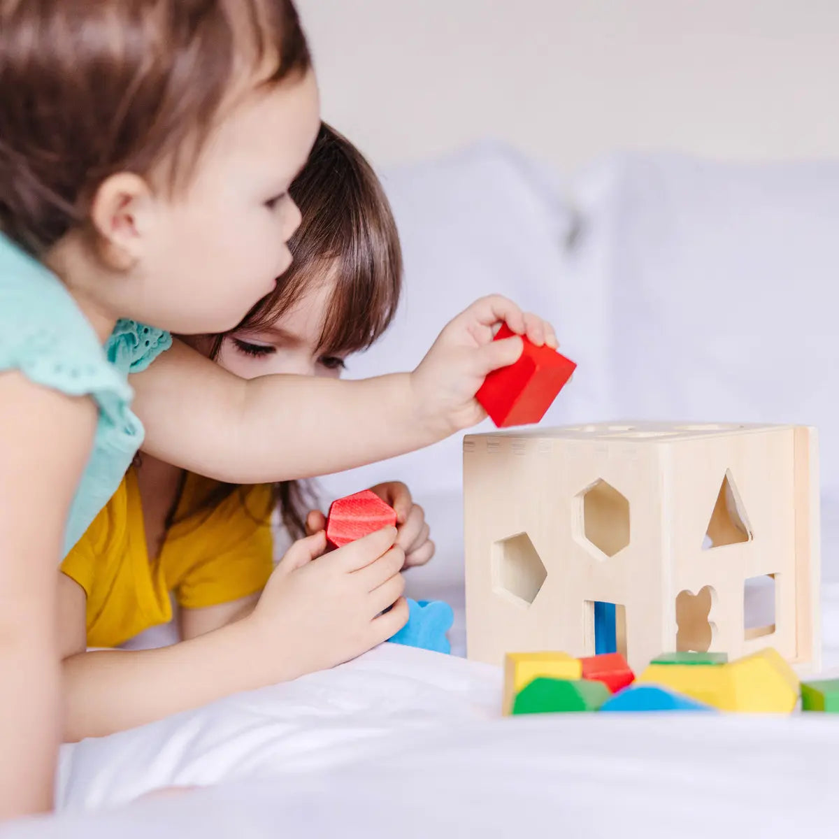 Cubo Clasificador De Madera 12 Formas Melissa & Doug