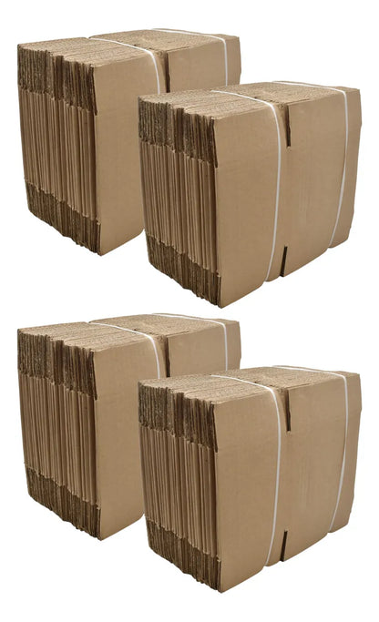 100 Cajas De Carton Empaque E-commerce 16x13.8x19.5cm Exch1 Caqui