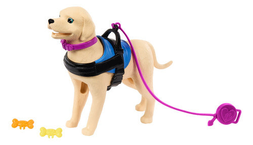 Barbie Set De Juego Muñeca En Silla De Ruedas Con Perro Color Multicolor