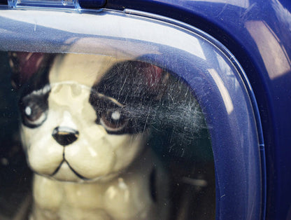Maletin Cuidado De Mascota 2 En 1 Pets Home 008-987-1 Da