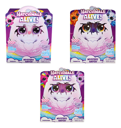 Hatchimals Alive Pack 3 Huevos Mystery Hatch Spin Master Multicolor