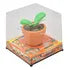 Zip Zap Mini Plantita Solar Naranja Con Movimiento Fotorama