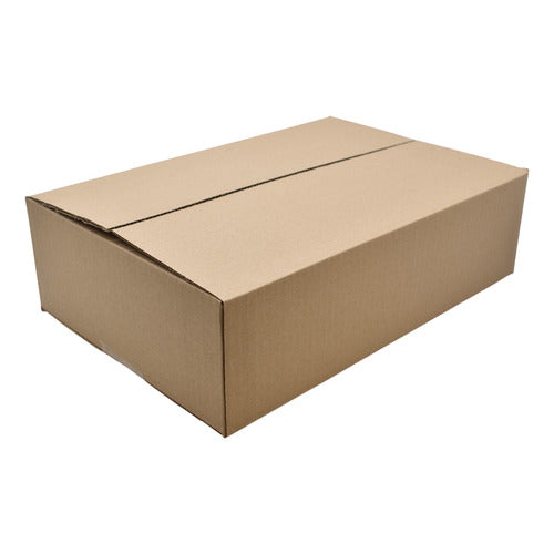 25 Cajas De Carton Empaque E-commerce 13x31x45.5cm E1 Caqui