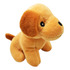 Estetica Para Mascotas Portatil 3 En 1 Pet Animal 3109a