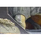 Jurassic Park Hammond Collection Giganotosaurus Mattel Ca